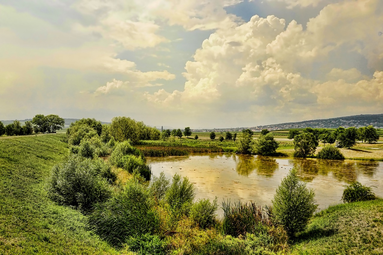 Pobūdį,  Kraštovaizdis,  Tvenkinys,  Debesys,  Dangus,  Nuotaika,  Medžiai,  Vaizdingas,  Vandens,  Panorama