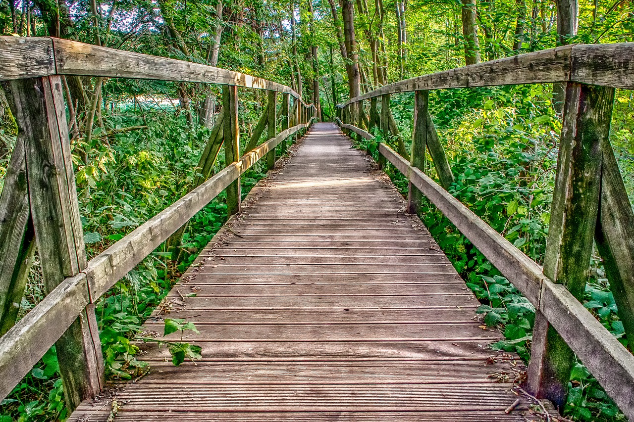 Pobūdį,  Architektūra,  Medinis Tiltas,  Boardwalk,  Interneto,  Kraštovaizdis,  Metai,  Vasara,  Idiliškas,  Apšvietimas