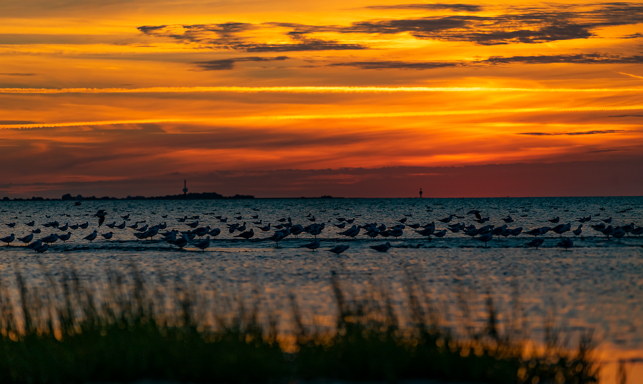 Pobūdį,  Saulėlydžio,  Dangus,  Kraštovaizdis,  Vakare,  Vandens,  Prieblanda,  Abendstimmung,  Apšvietimas,  Oranžinė