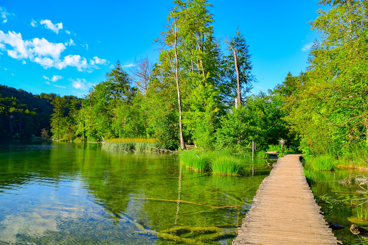 Pobūdį,  Interneto,  Vandens,  Ežeras,  Nuotaika,  Dangus,  Kraštovaizdis,  Vandenys,  Boardwalk,  Vasara