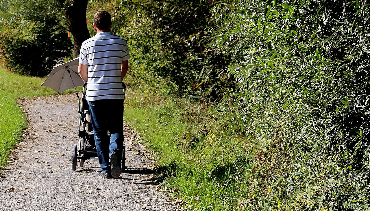 Gamta, Vyras, Kūdikių Vežimas, Skėtis Nuo Saulės, Vaikščioti, Promenada, Miško Pakraštis, Atsigavimas, Nemokamos Nuotraukos,  Nemokama Licenzija