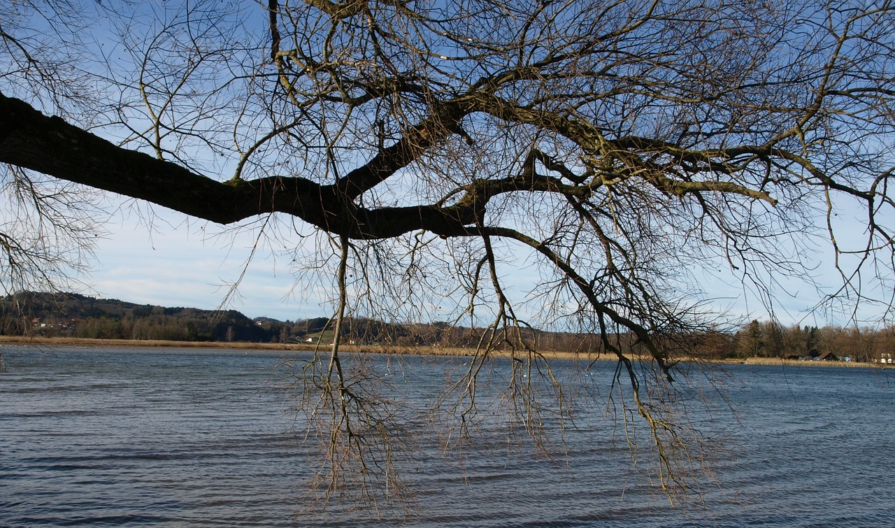 Gamta, Chiemsee, Vanduo, Ežeras, Kraštovaizdis, Bankas, Bavarija, Medis, Filialas, Nemokamos Nuotraukos