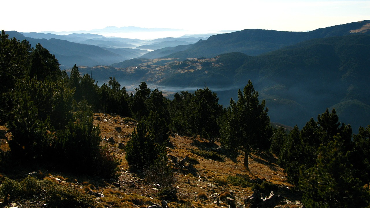 Gamta, Kalnas, Kraštovaizdis, Eglės, Katalonų Pirenai, Miškas, Nemokamos Nuotraukos,  Nemokama Licenzija