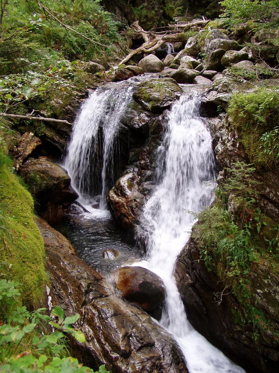 Gamta, Kalnai, France, Pirėnai, Srautas, Nemokamos Nuotraukos,  Nemokama Licenzija