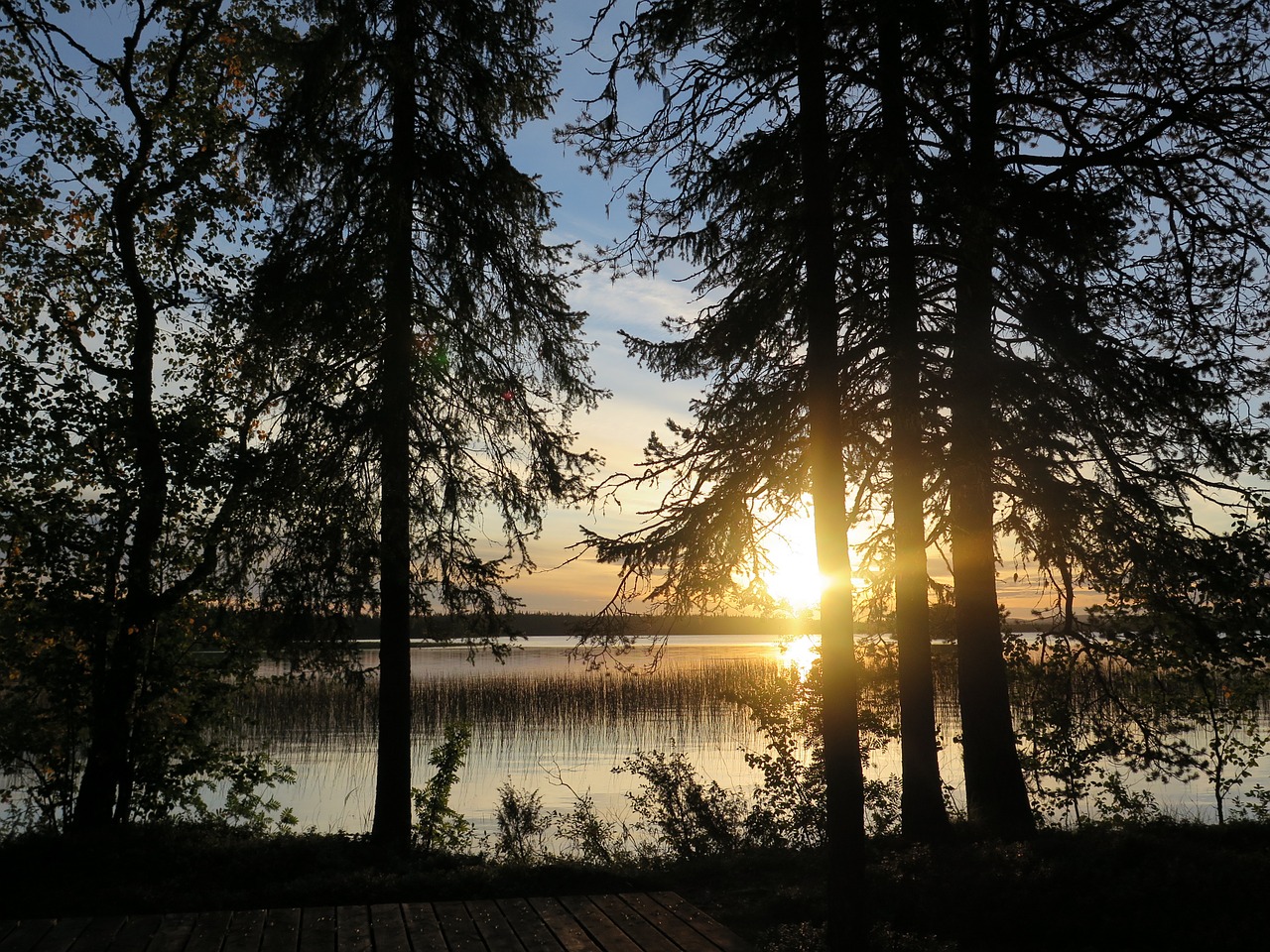 Gamta, Saulėtekis, Miškas, Medis, Ežeras, Dangus, Romantiškas, Aušra, Finland, Nacionalinis Parkas