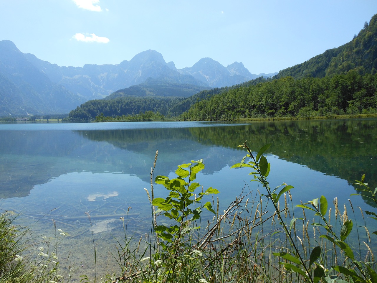 Gamta, Kraštovaizdis, Almsee, Nemokamos Nuotraukos,  Nemokama Licenzija