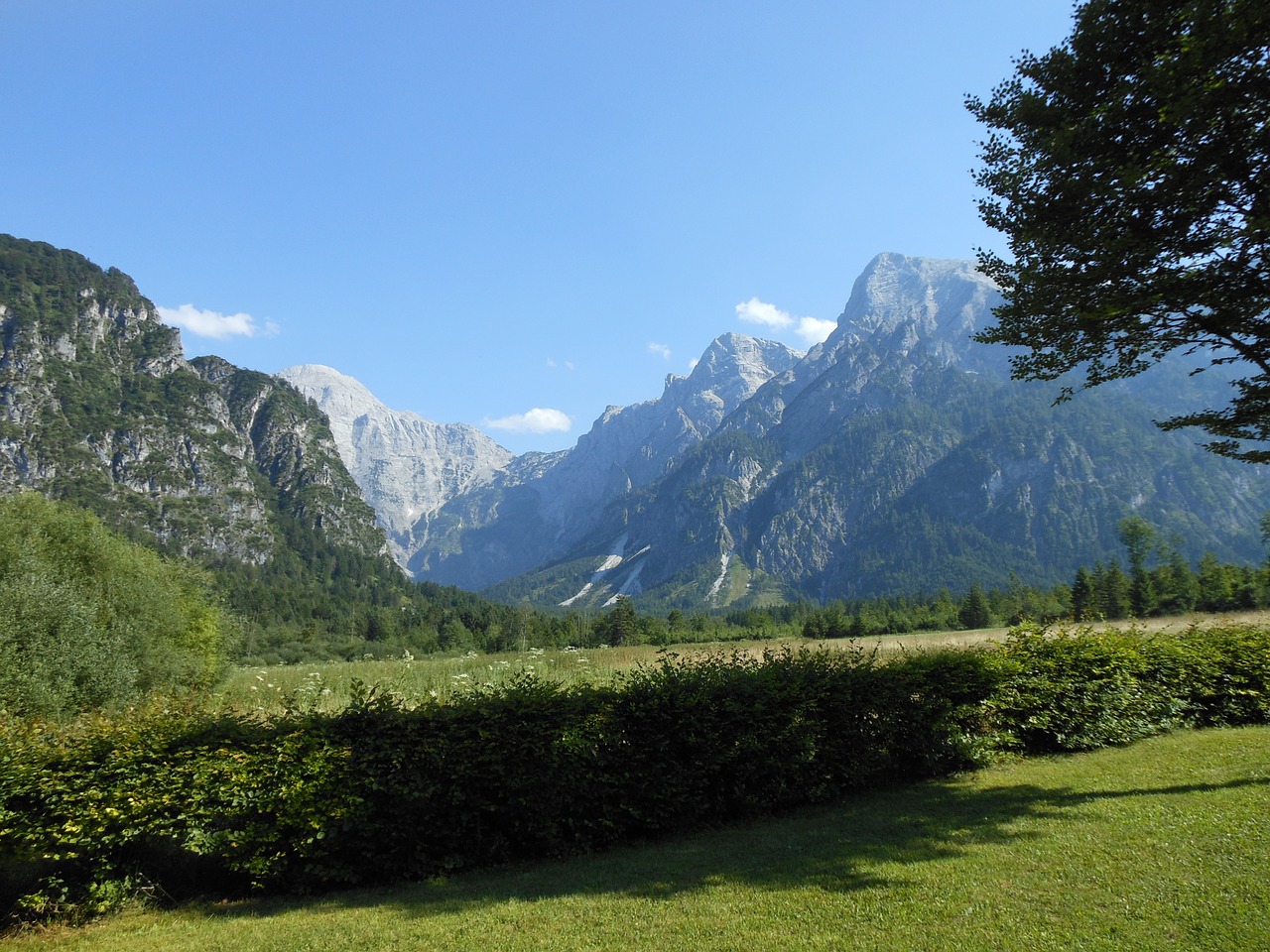 Gamta, Kraštovaizdis, Almsee, Nemokamos Nuotraukos,  Nemokama Licenzija