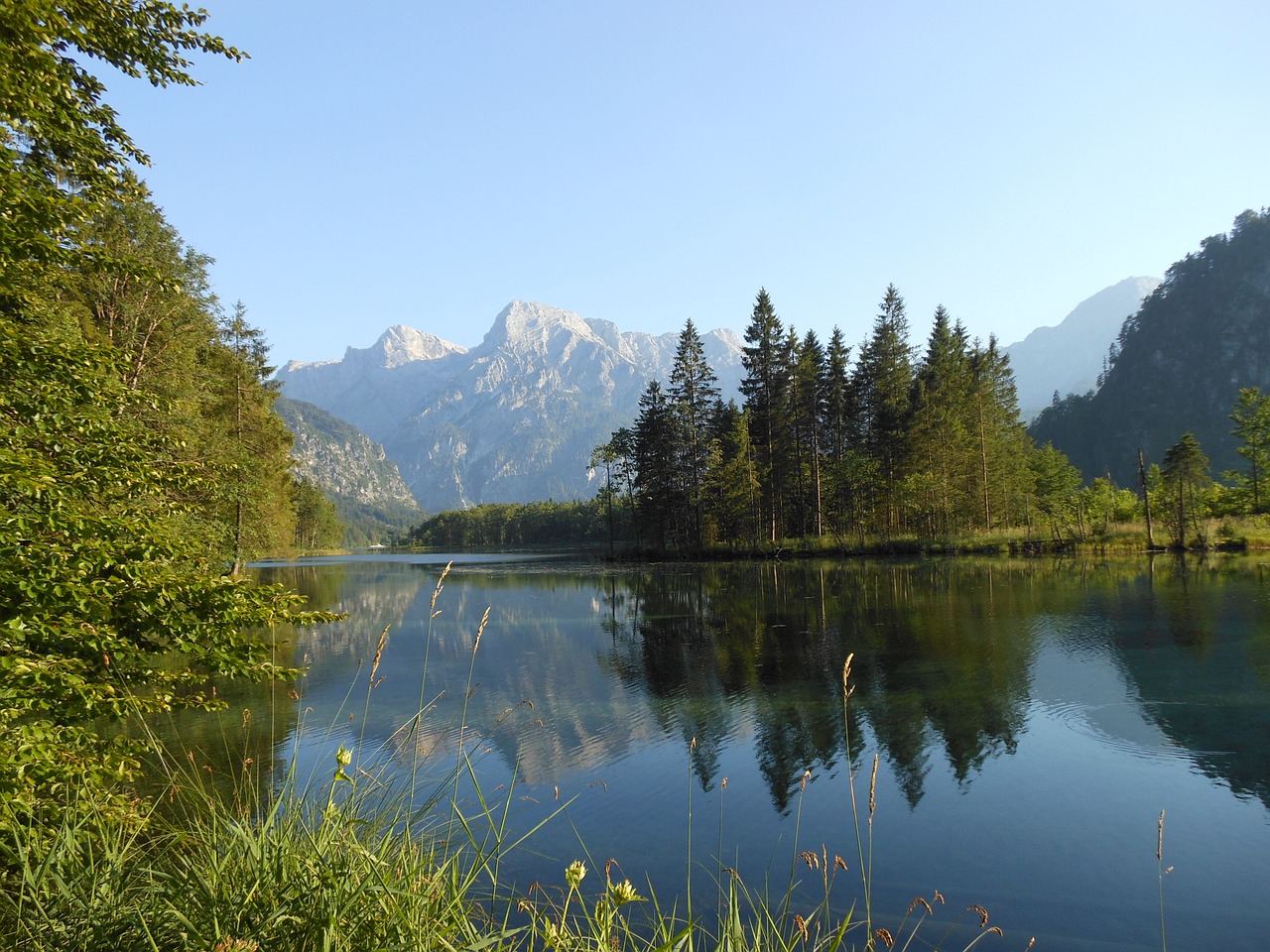 Gamta, Kraštovaizdis, Almsee, Nemokamos Nuotraukos,  Nemokama Licenzija