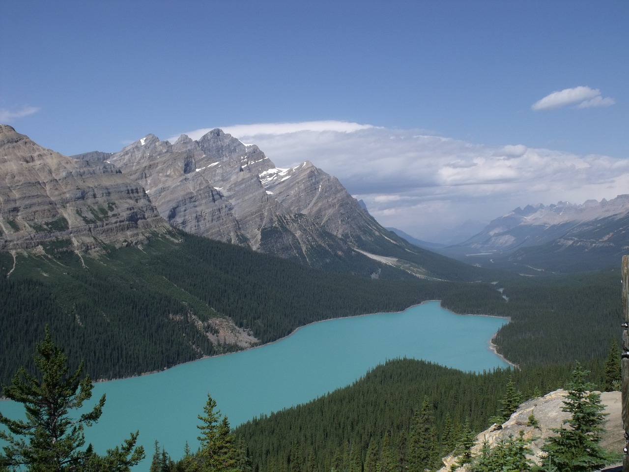 Gamta,  Daugiau,  Mėlynas,  Kalnai,  Medžiai,  Kanada, Nemokamos Nuotraukos,  Nemokama Licenzija