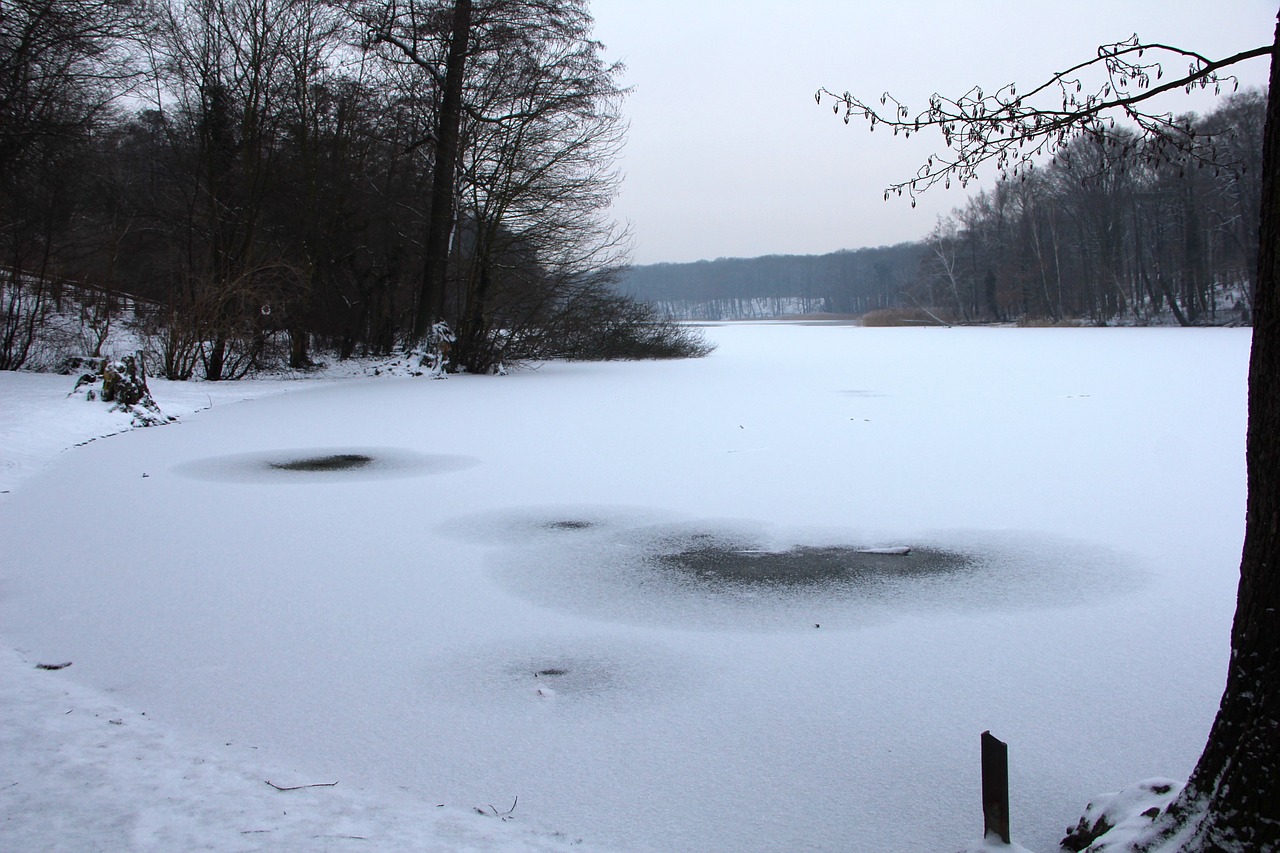 Gamta, Žiema, Grunewald, Ežeras, Schlachtensee, Sniegas, Kraštovaizdis, Nemokamos Nuotraukos,  Nemokama Licenzija