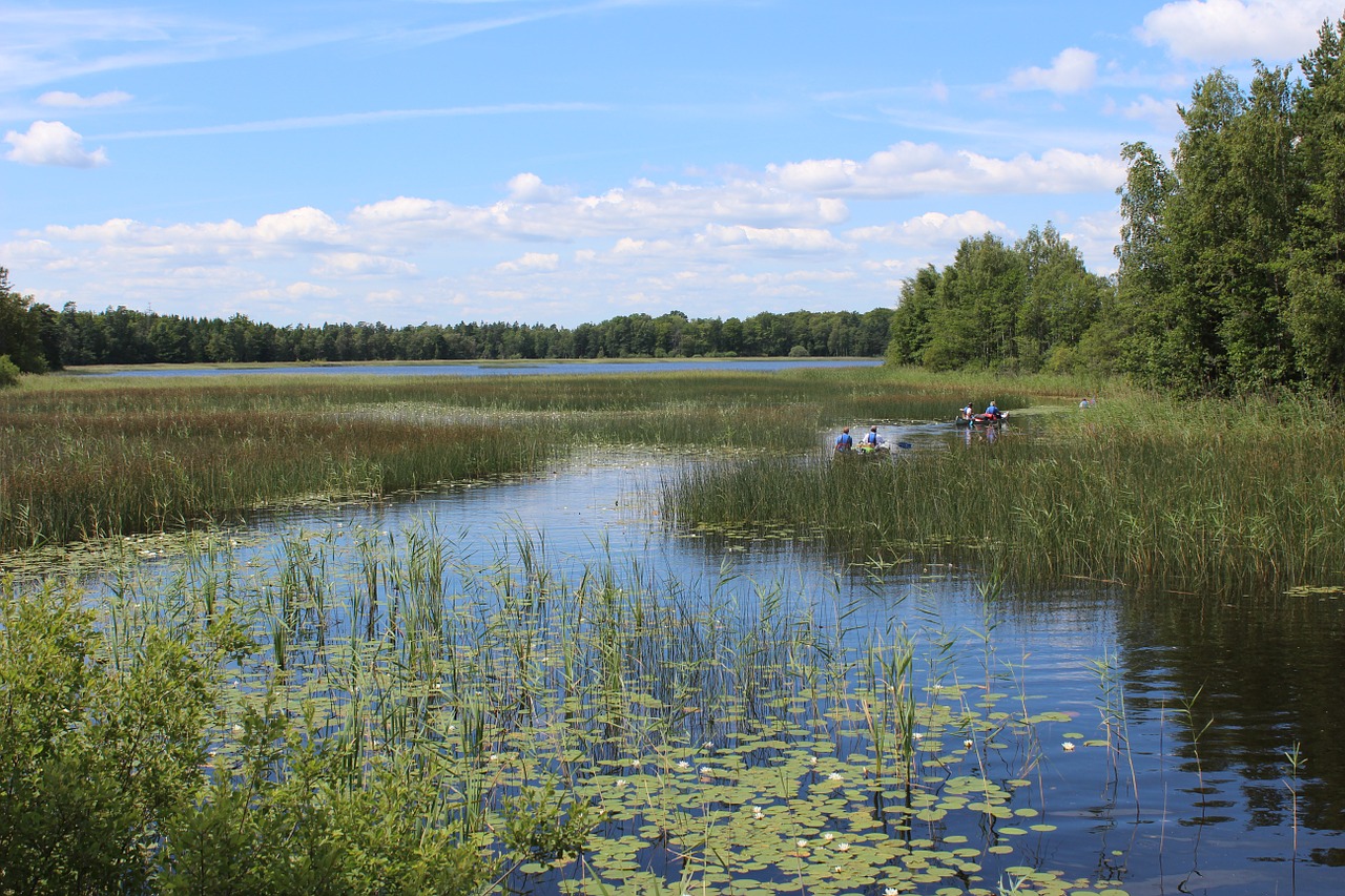 Gamta,  Ežeras,  Švedija,  Vanduo, Nemokamos Nuotraukos,  Nemokama Licenzija