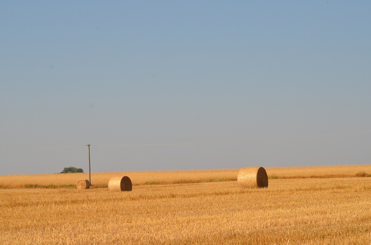 Gamta, Kraštovaizdis, Saulėtas, Derlius, Laukas, Lenkija, Vasara, Haystack, Flora, Nemokamos Nuotraukos