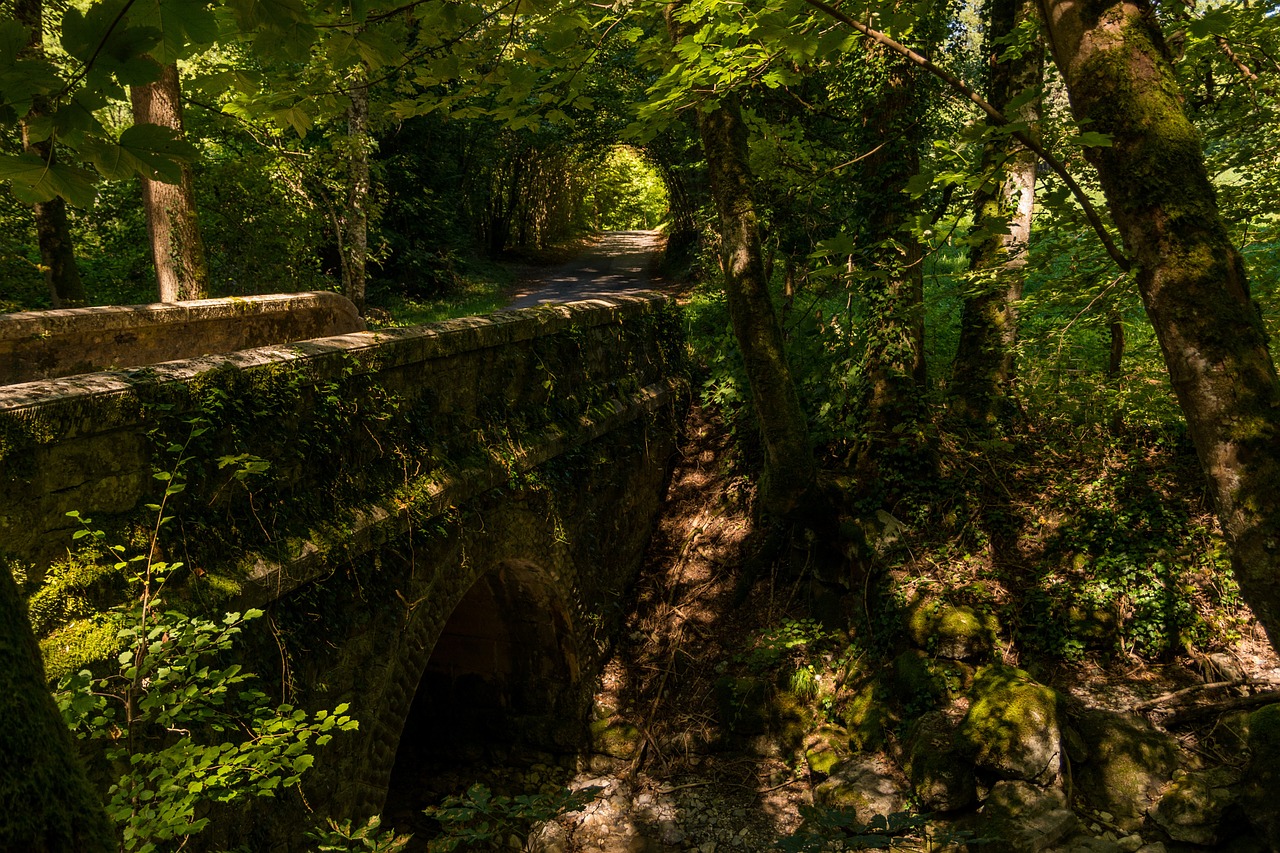 Kraštovaizdis, Tiltas, Miškas, Annecy, France, Nemokamos Nuotraukos,  Nemokama Licenzija