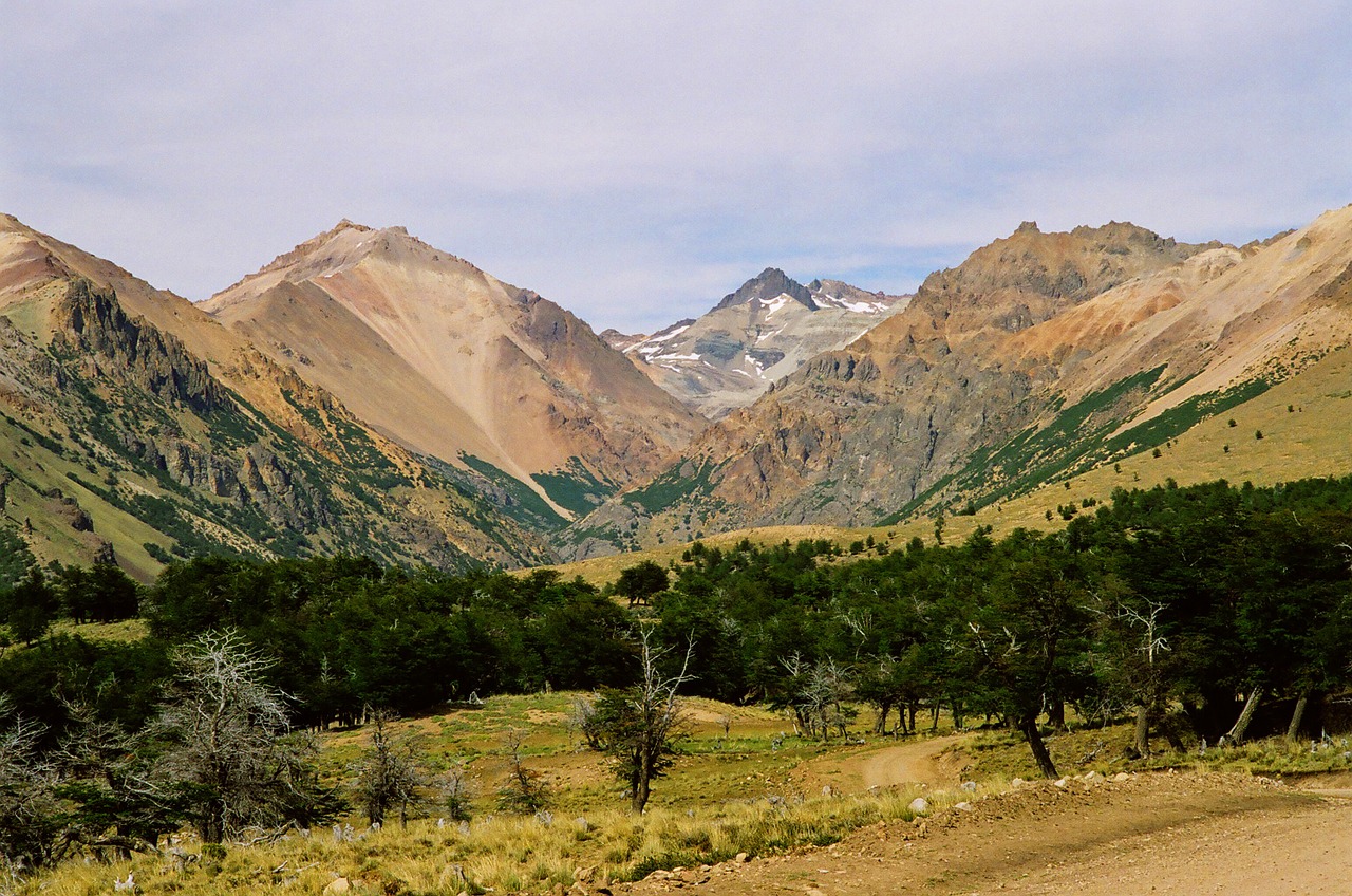 Patagonia, Kalnai, Gamta, Laukai, Veja, Miškas, Medžiai, Nemokamos Nuotraukos,  Nemokama Licenzija