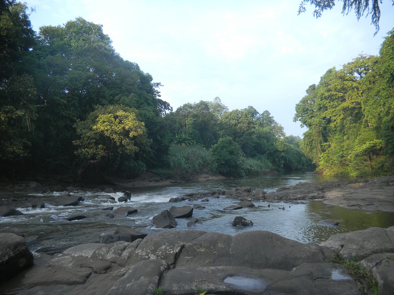 Gamta, Kalimantanas, Miškas, Vanduo, Upė, Srautas, Akmenys, Akmenys, Žalias, Medžiai