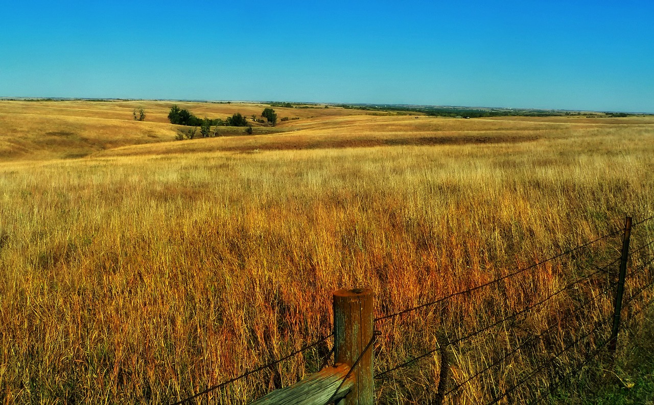 Nebraska, Prairie, Lygumos, Kraštovaizdis, Vaizdingas, Augalai, Prairijos Žolė, Vista, Kaimas, Kaimas