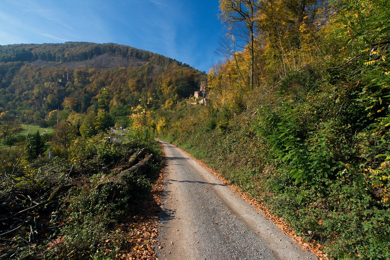 Neckarsteinach, Odenwald, Ruduo, Toli, Nemokamos Nuotraukos,  Nemokama Licenzija