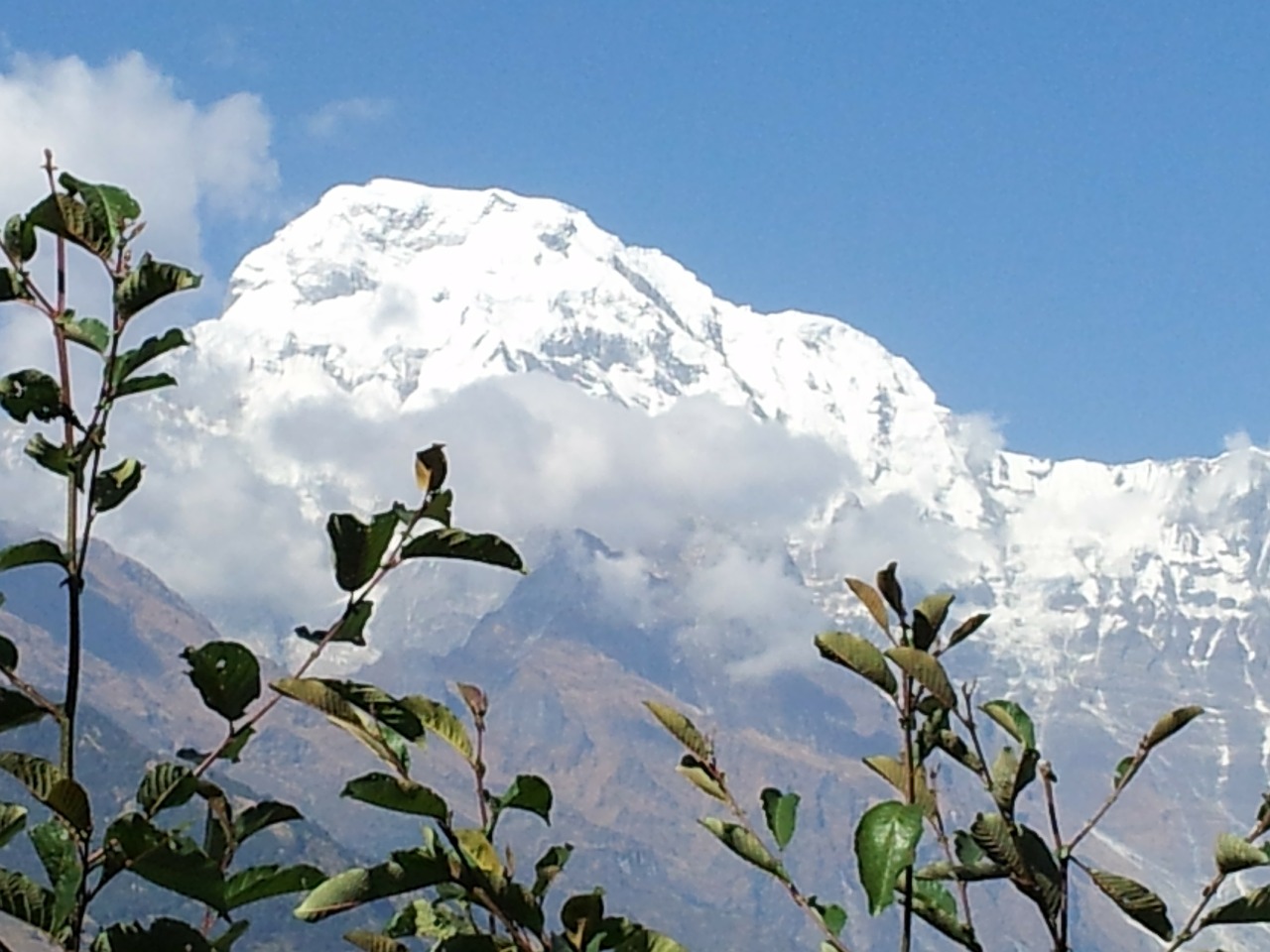 Nepalas, Sekti, Annapurna, Nemokamos Nuotraukos,  Nemokama Licenzija