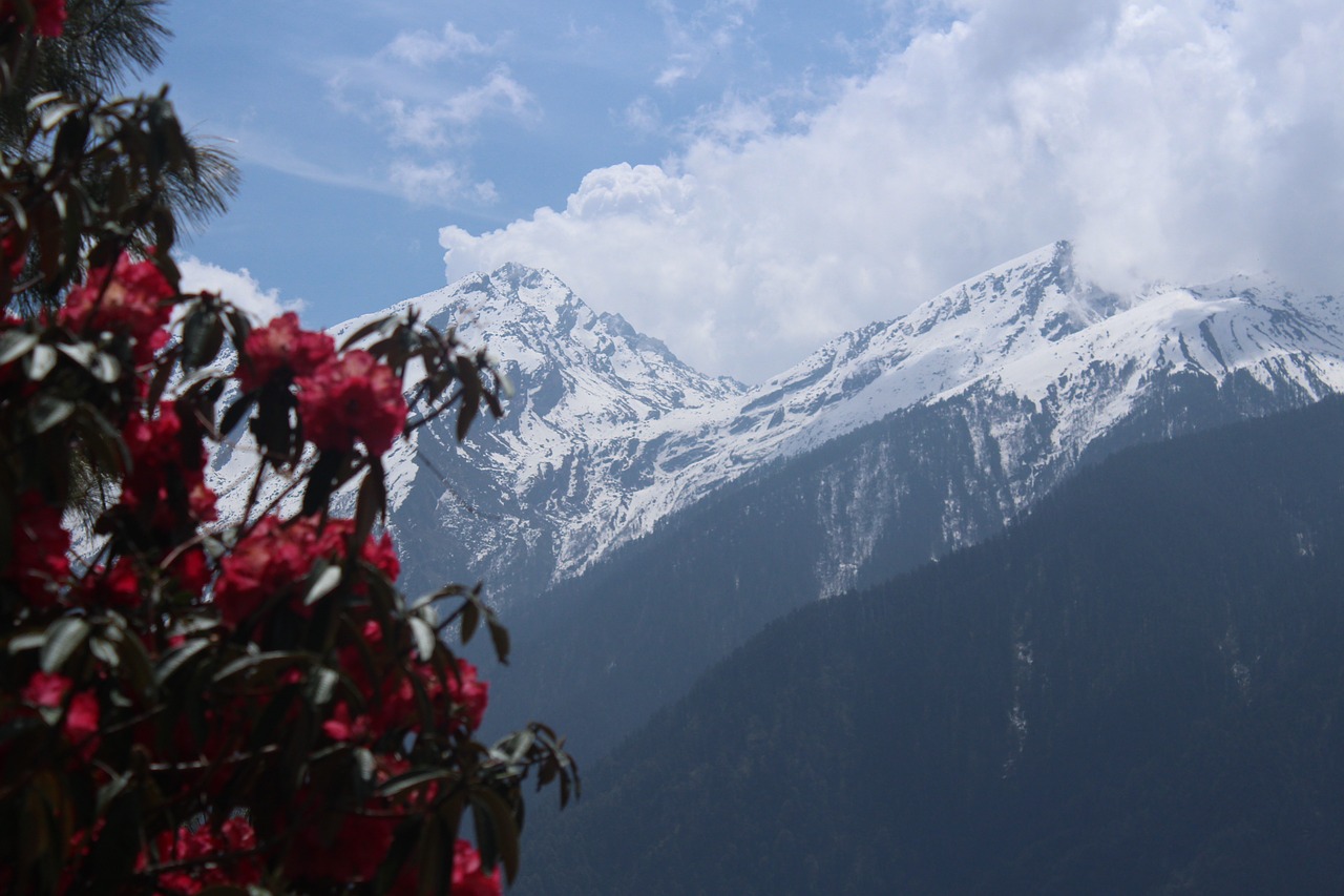 Nepalas, Pasivaikščiojimas, Nepalo Kelionė, Kelionė, Trekeris, Sniegas, Nuotykis, Kalnas, Kalnas, Keliautojas