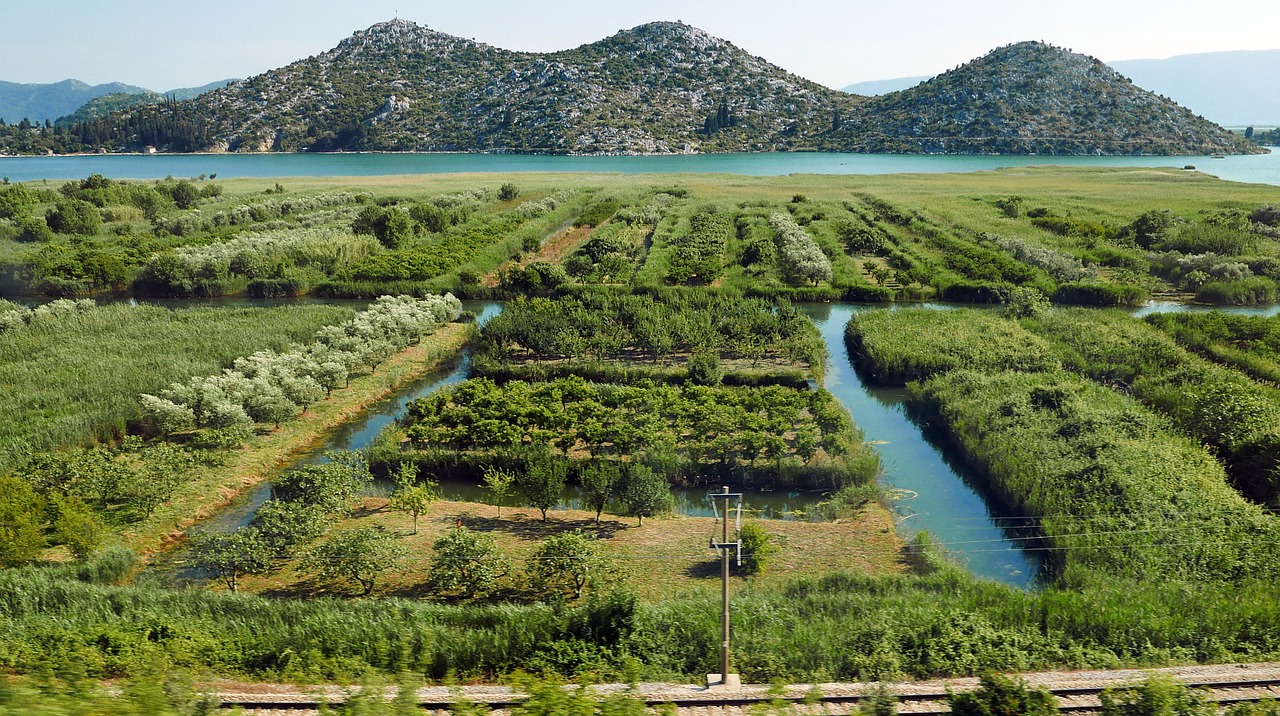 Neretva Estuarija,  Drėkinimas,  Valdymas, Nemokamos Nuotraukos,  Nemokama Licenzija