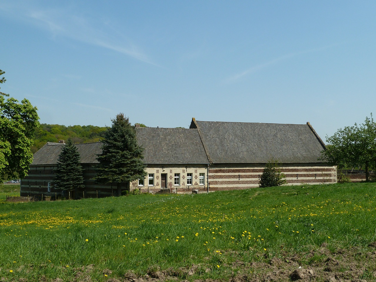 Nyderlandai, Dangus, Debesys, Pastatas, Architektūra, Kraštovaizdis, Laukas, Augalai, Žolė, Medžiai