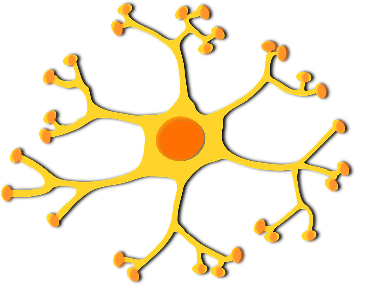Neuronas, Ląstelė, Branduolys, Dendritai, Aksonai, Ratas, Smegenys, Biologija, Nemokama Vektorinė Grafika, Nemokamos Nuotraukos