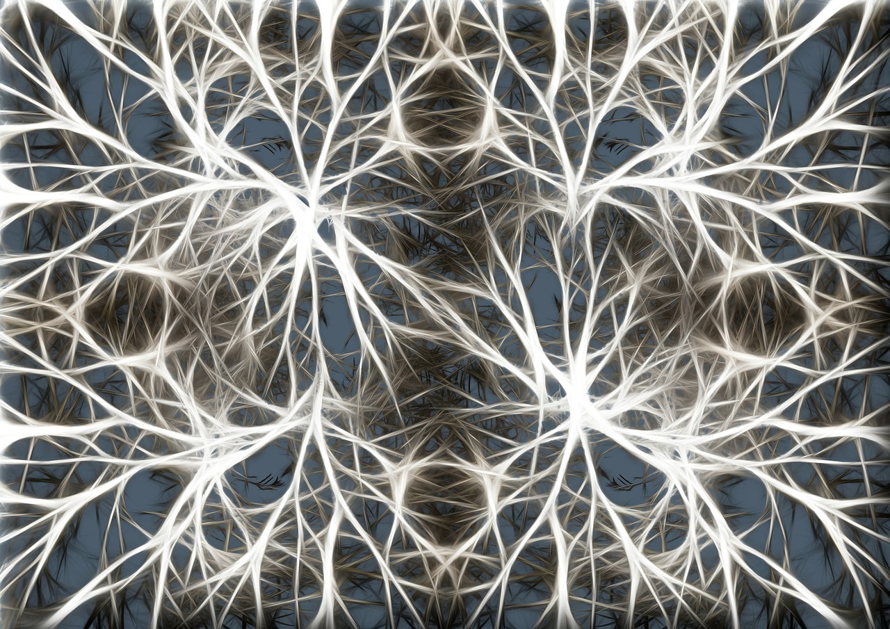 Neuronai, Proto Ląstelės, Smegenų Struktūra, Smegenys, Tinklas, Wattle, Tinklelis, Verpalai, Audinys, Akių Gamykla
