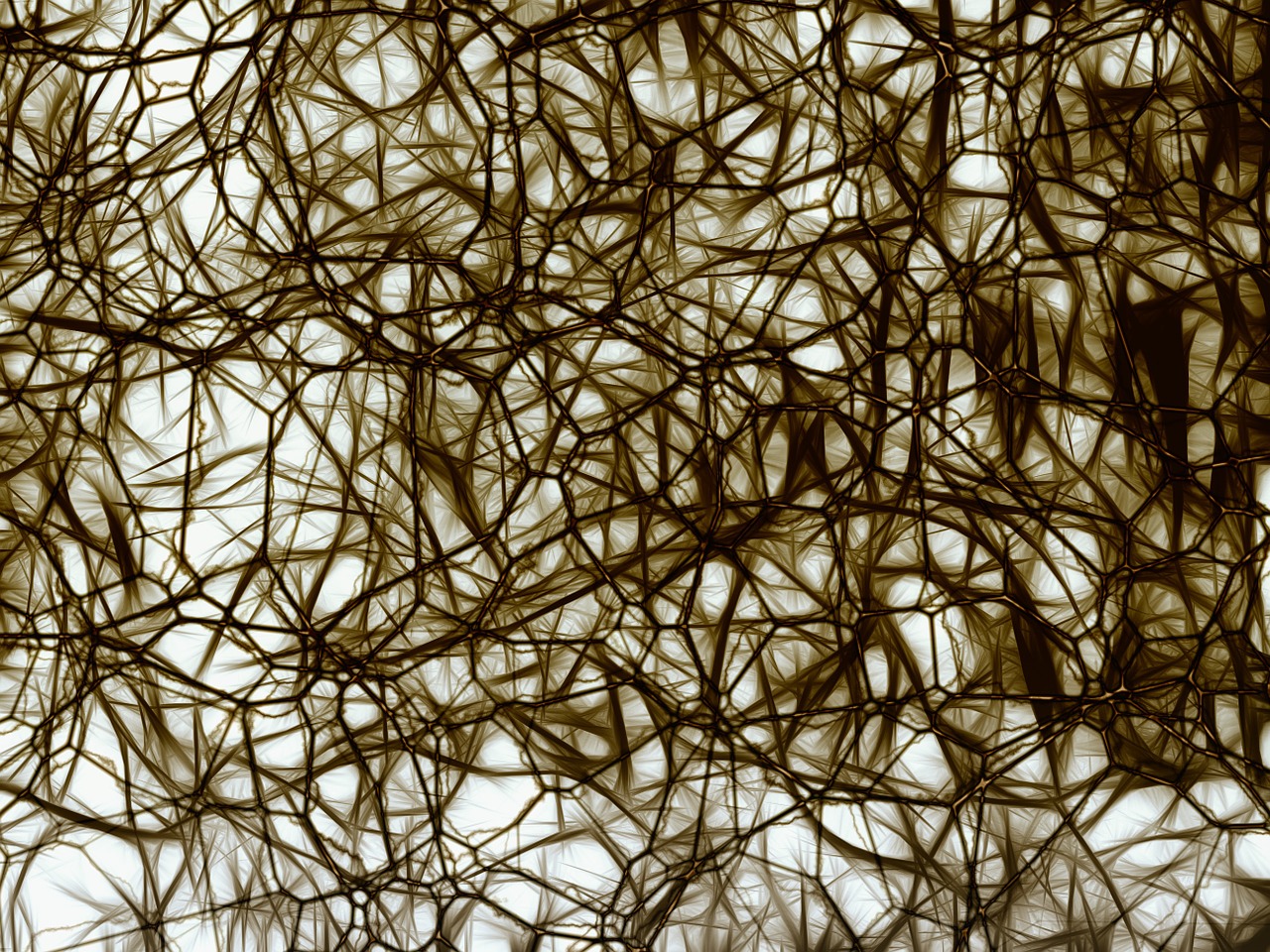 Neuronai, Proto Ląstelės, Nachahmnung, Smegenų Struktūra, Smegenys, Tinklas, Wattle, Verpalai, Audinys, Akių Gamykla