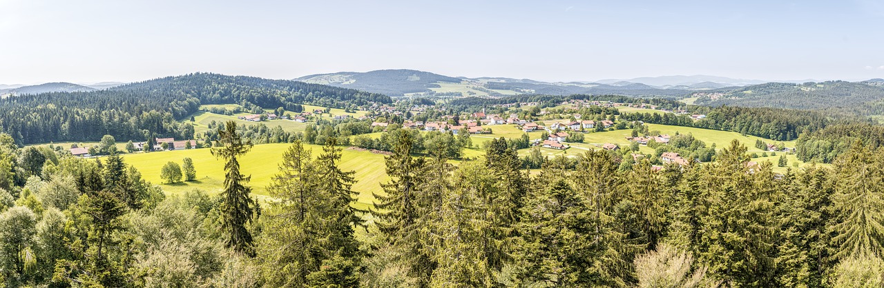 Neuschönau,  Bavarian Forest,  Peržiūrėti,  Miškas,  Pobūdį,  Medžiai,  Kraštovaizdis,  Žygiai,  Požiūris,  Laisvalaikis