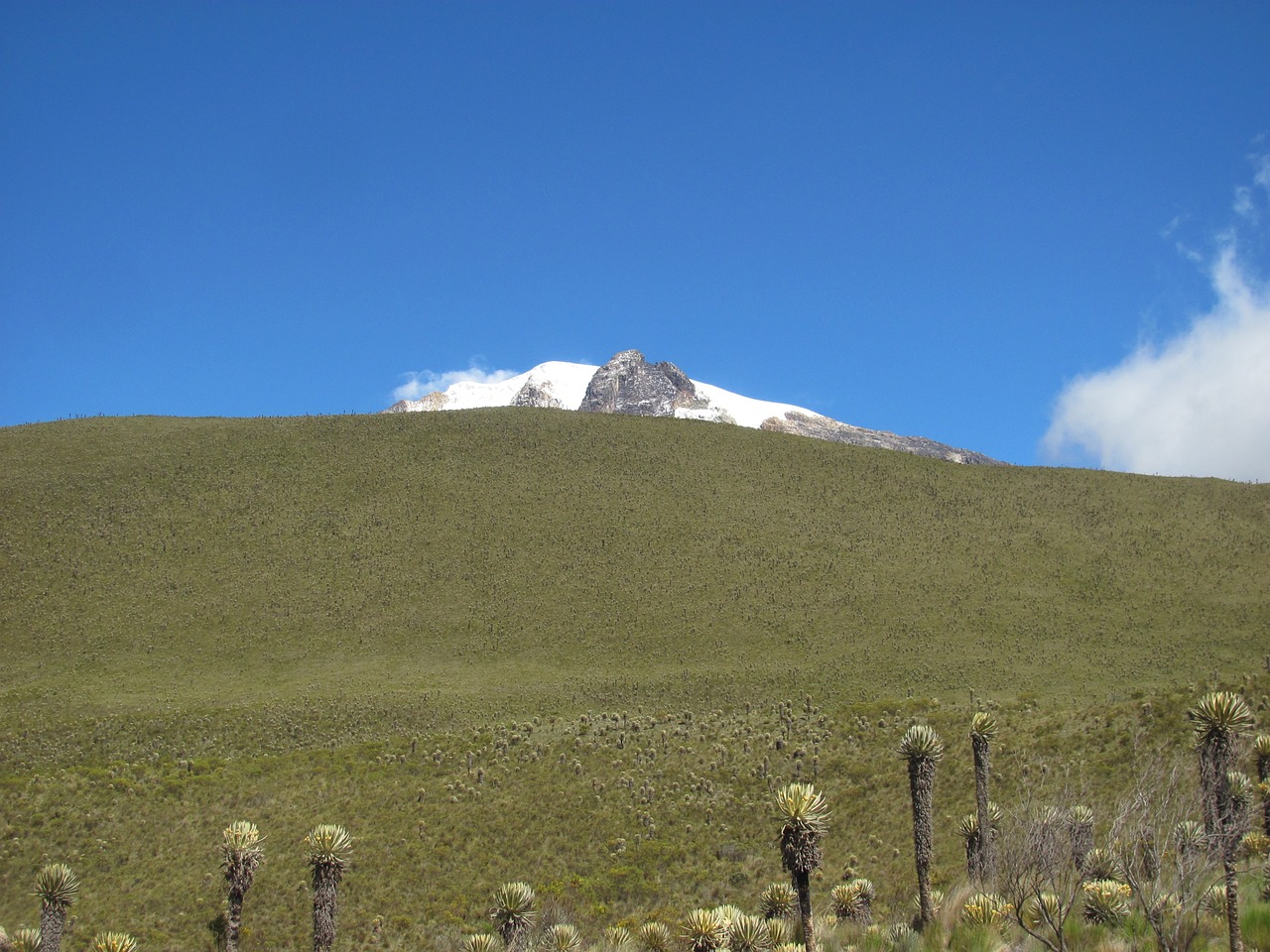 Nevado, Frailejon, Tolima, Perėjimas, Nemokamos Nuotraukos,  Nemokama Licenzija