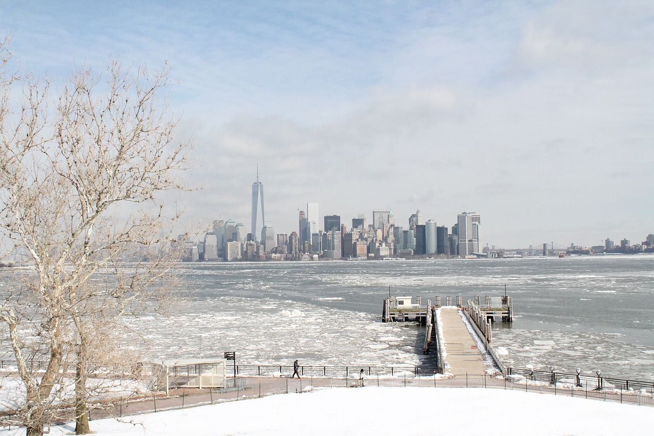 Niujorkas, Panorama, Žiema, Miestas, Metropolis, Amerikietis, Nemokamos Nuotraukos,  Nemokama Licenzija