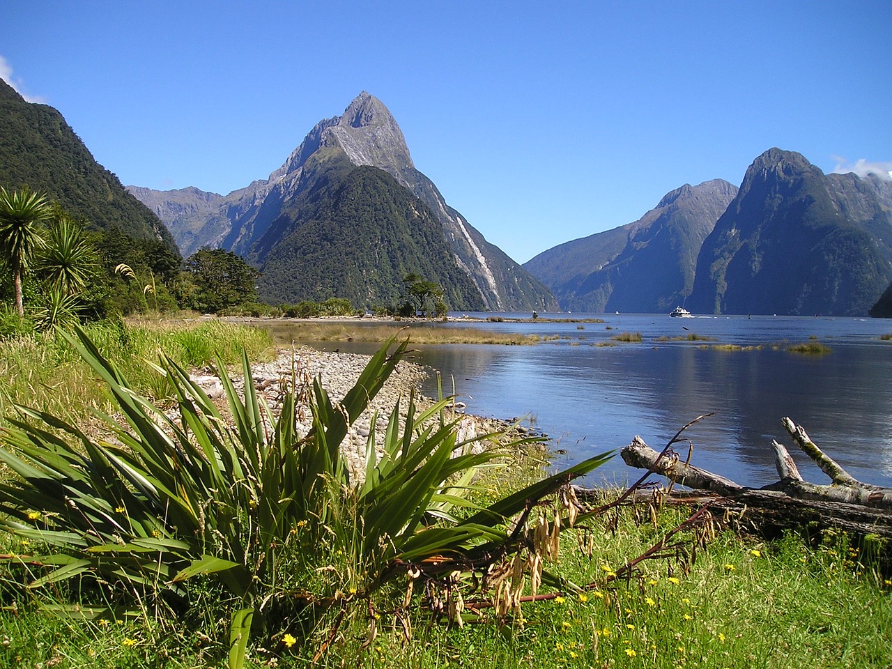 Naujoji Zelandija, Fiordland, Pietų Sala, Mitra, Piko, Nemokamos Nuotraukos,  Nemokama Licenzija
