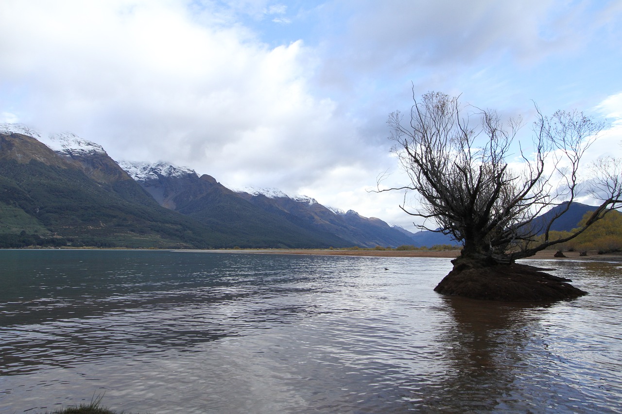 Naujoji Zelandija, Ežero Vaizdas, Vanduo Medį, Nemokamos Nuotraukos,  Nemokama Licenzija