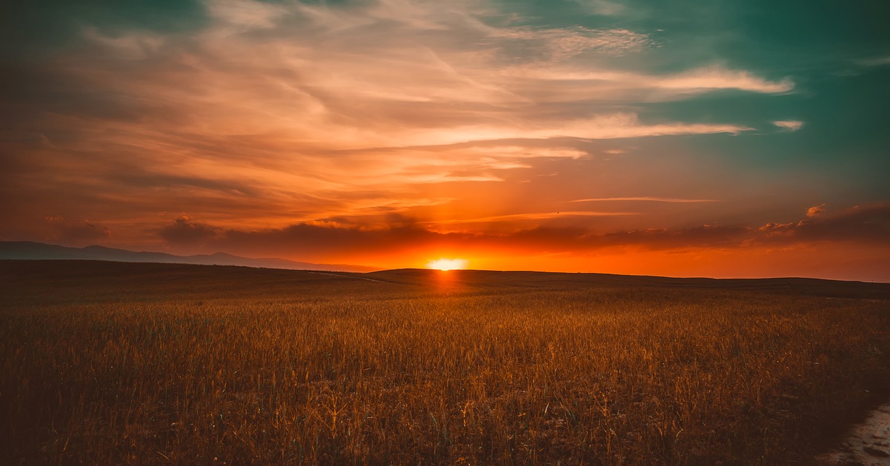 Naujoji Zelandija, Augalai, Laukas, Pieva, Saulėlydis, Dusk, Gražus, Panorama, Kraštovaizdis, Gamta