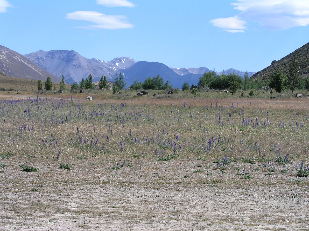 Naujoji Zelandija, Naujas, Zealand, Arthuro Pass, Gamta, Kraštovaizdis, Šalis, Peizažas, Nemokamos Nuotraukos,  Nemokama Licenzija