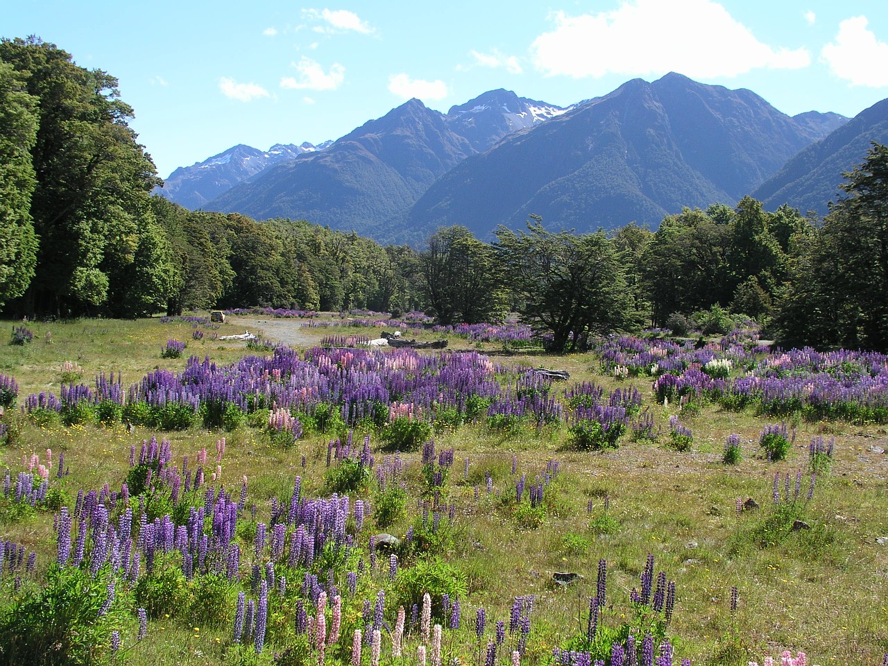 Naujoji Zelandija, Naujas, Zealand, Arthuro Pass, Gamta, Kraštovaizdis, Šalis, Peizažas, Nemokamos Nuotraukos,  Nemokama Licenzija