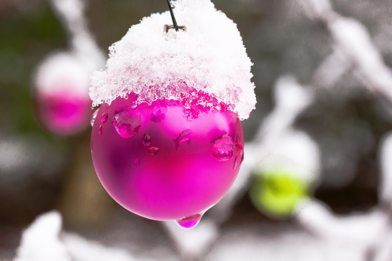 Naujoji Zelandija, Christbaumkugeln, Žiema, Šaltas, Sušaldyta, Balta, Rožinis, Žalias, Sodas, Krūmas