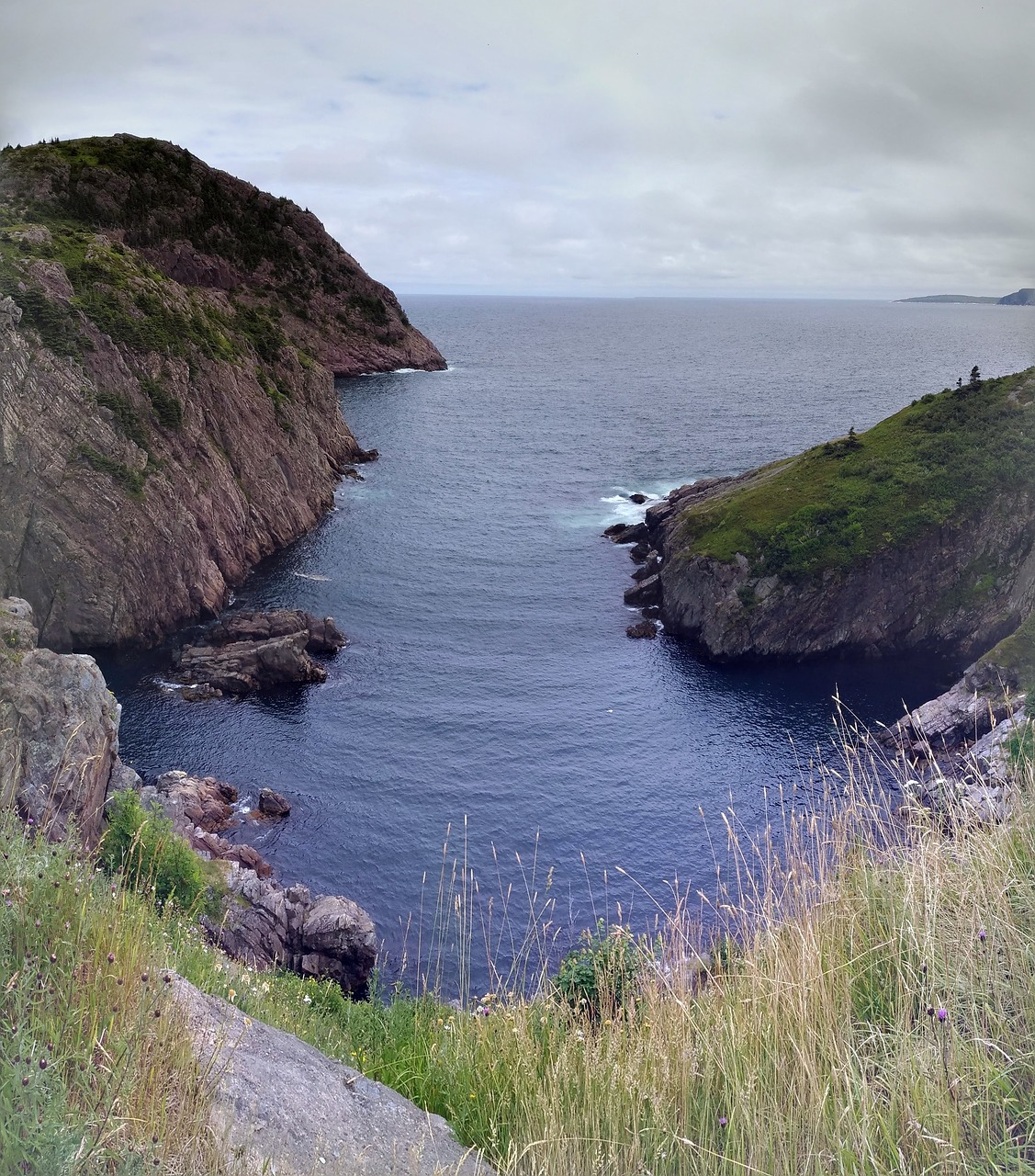 Newfoundland, Signalo Kalnas, Vandenynas, Cove, Panoraminis, Ekskursijos, Jonas, Turizmas, Атлантический, Kraštovaizdis