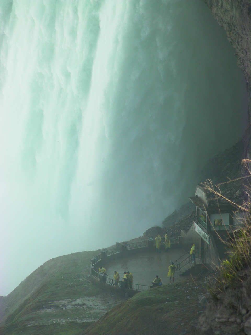 Niagaros Krioklys, Vanduo, Krioklys, Gamta, Turistų Atrakcijos, Kritimo, Skubėti, Nemokamos Nuotraukos,  Nemokama Licenzija