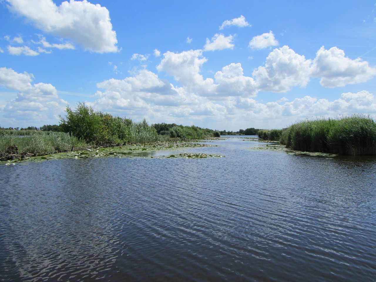 Nieuwkoopseplassen, Vanduo, Gamta, Natūralus Vanduo, Srautas, Nemokamos Nuotraukos,  Nemokama Licenzija