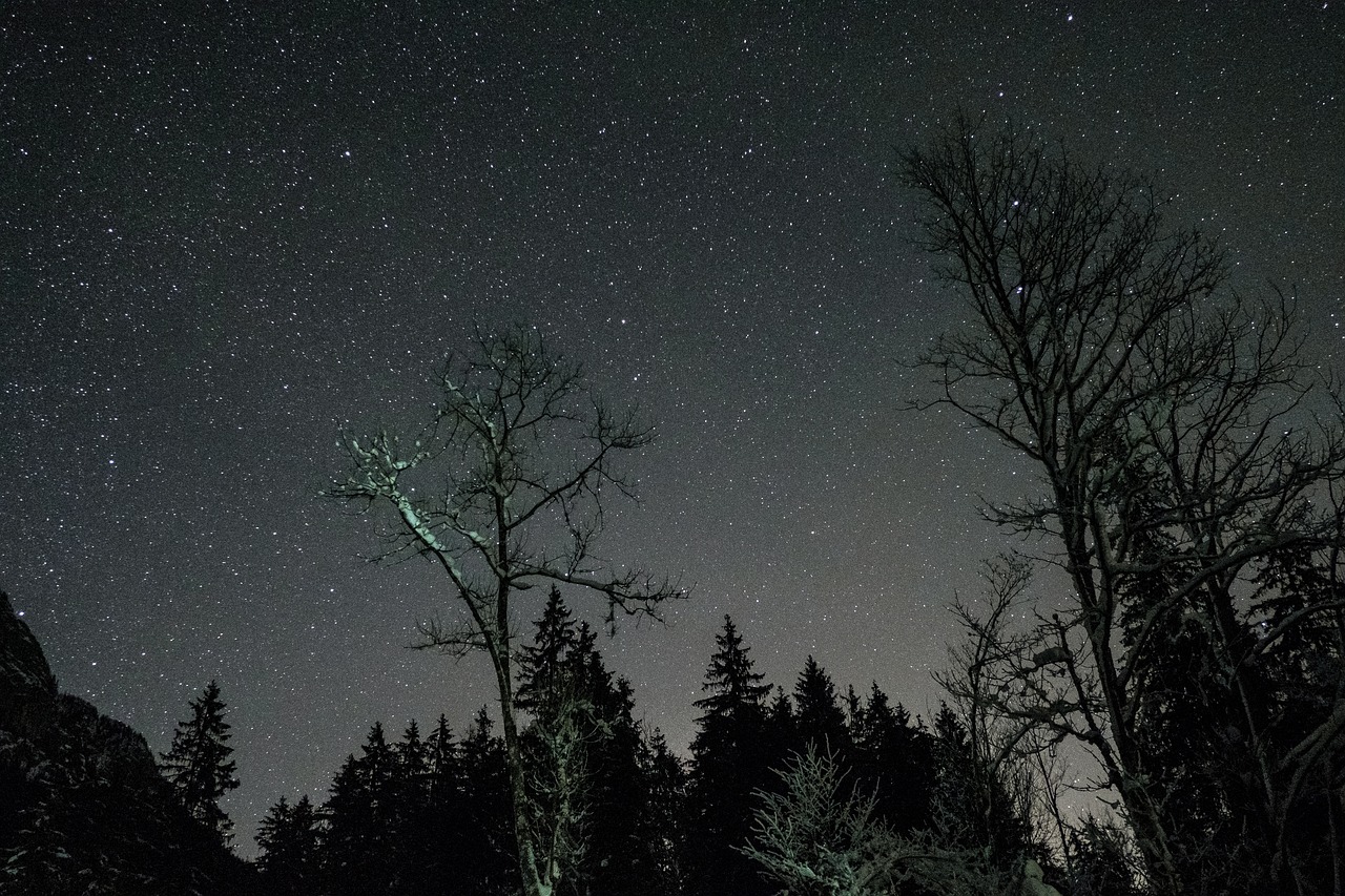 Naktis, Tamsi, Astrofotografija, Žvaigždės, Stargazing, Šešėlis, Medžiai, Miškai, Nemokamos Nuotraukos,  Nemokama Licenzija