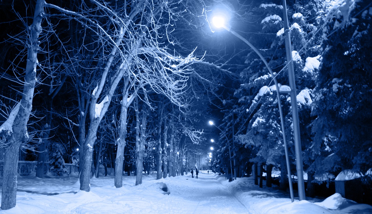 Naktis, Sniegas, Šaltis, Šaltas, Medžiai, Šaltas Miestas, Miestas, Sušaldyta, Rusija, Ankstus Rytas