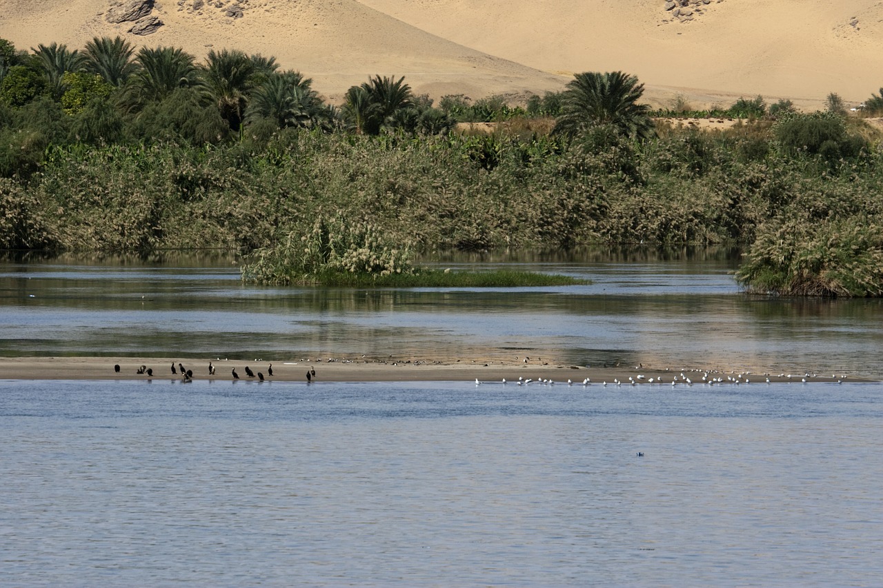 Nile, Egiptas, Ramus, Upė, Smėlio Kopos, Kraštovaizdis, Oazė, Nemokamos Nuotraukos,  Nemokama Licenzija