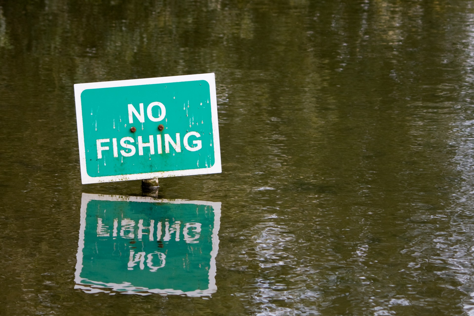 Знаки рыбалка. No Fishing. Знак no Fishing. No Fishing sign. Рыбалка запрещена.