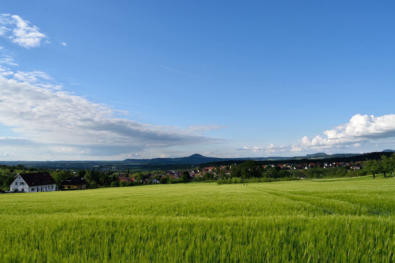 Niekas, Gamta, Panorama, Lauke, Dangus, Kaimo Kraštovaizdis, Vasara, Laukas, Ganykla, Kaimo Vietovės