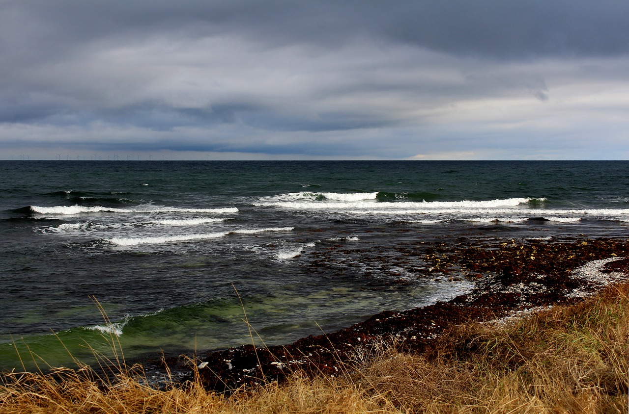 Nordstrand, Grenå, Denmark, Ruduo, Nemokamos Nuotraukos,  Nemokama Licenzija