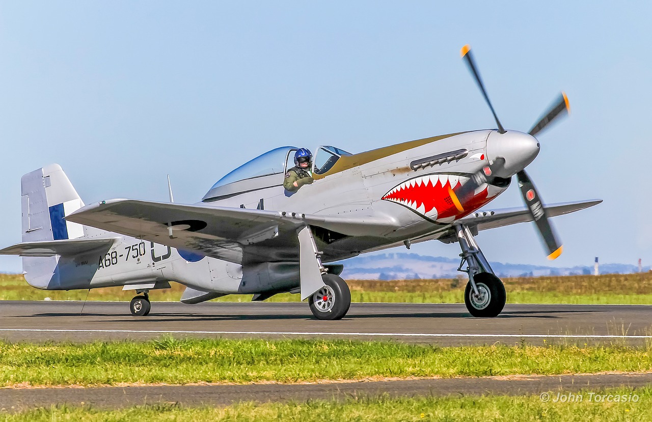 Šiaurės Amerikietis, P-51 Mustangas, Lėktuvas, Lėktuvas, Wwii, Aviacija, Nemokamos Nuotraukos,  Nemokama Licenzija