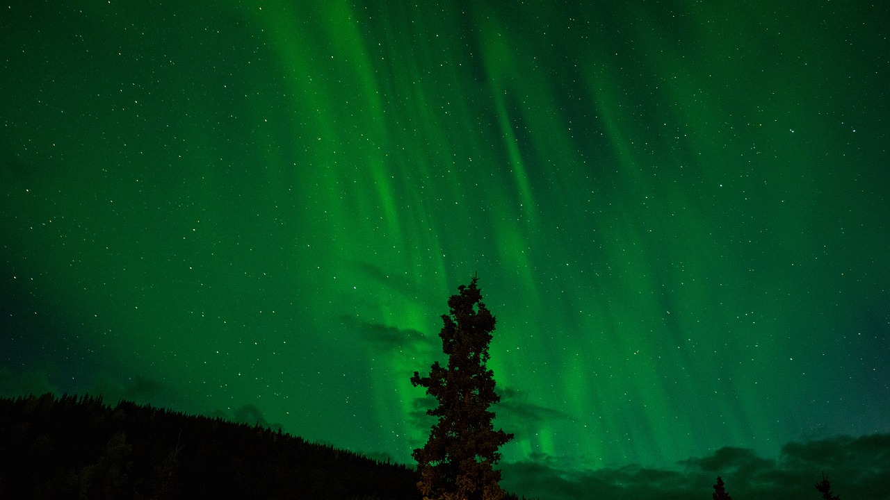Šiaurės Pašvaistė, Žalias, Aurora, Borealis, Astronomija, Reiškinys, Aurora Borealis, Siluetas, Atmosfera, Alaska