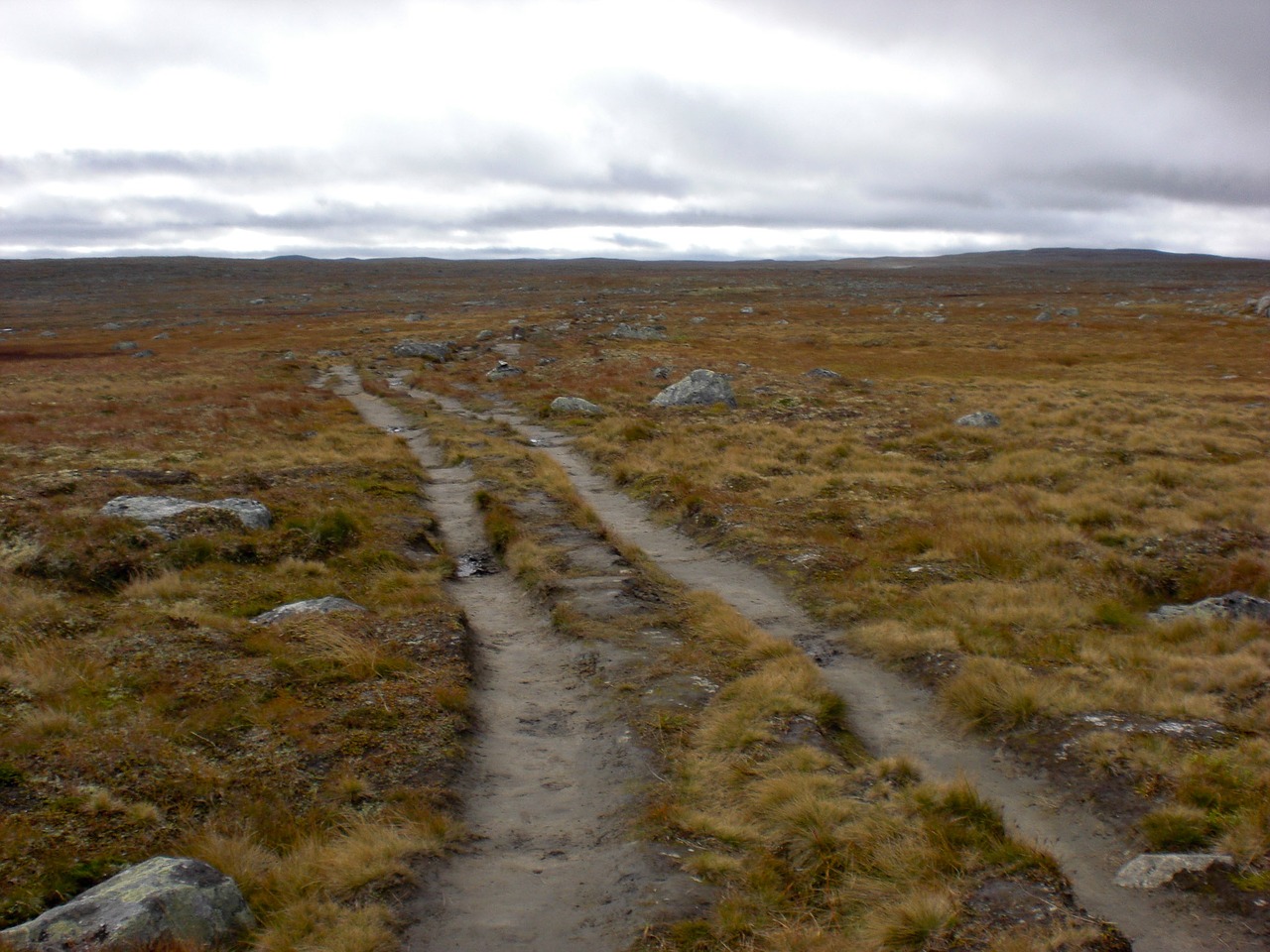 Norvegija, Hardangervidda, Skandinavija, Kraštovaizdis, Gamta, Pasivaikščiojimas, Dykuma, Akmenys, Nemokamos Nuotraukos,  Nemokama Licenzija