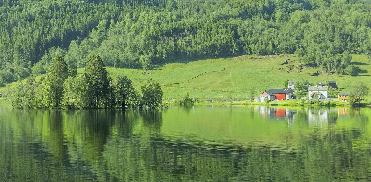 Norvegija, Ežeras, Žalias, Medžiai, Gamta, Parkas, Vanduo, Kalnai, Nordic, Aukšti Kalnai
